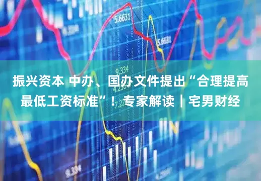 振兴资本 中办、国办文件提出“合理提高最低工资标准”！专家解读｜宅男财经