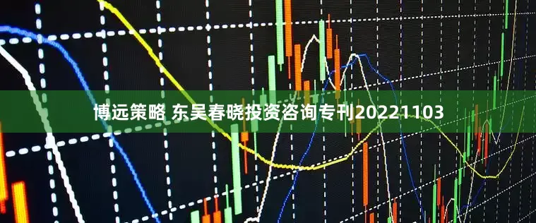 博远策略 东吴春晓投资咨询专刊20221103