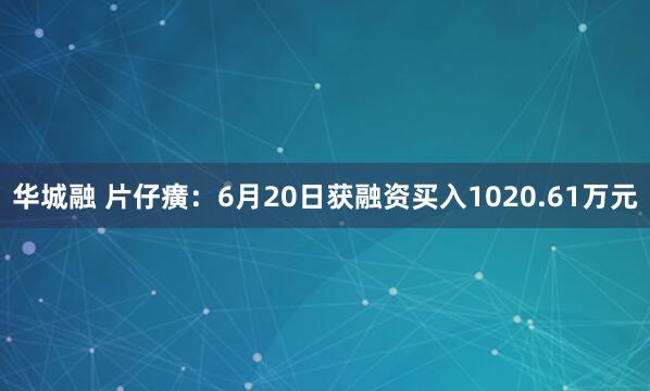 华城融 片仔癀：6月20日获融资买入1020.61万元