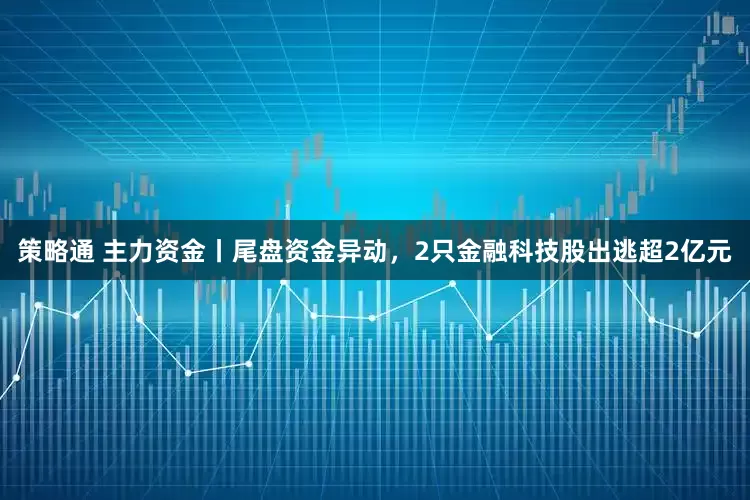 策略通 主力资金丨尾盘资金异动，2只金融科技股出逃超2亿元