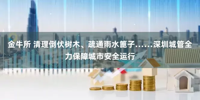 金牛所 清理倒伏树木、疏通雨水篦子……深圳城管全力保障城市安全运行