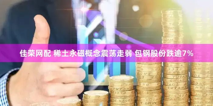 佳荣网配 稀土永磁概念震荡走弱 包钢股份跌逾7%