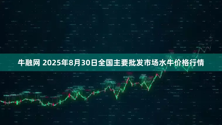 牛融网 2025年8月30日全国主要批发市场水牛价格行情