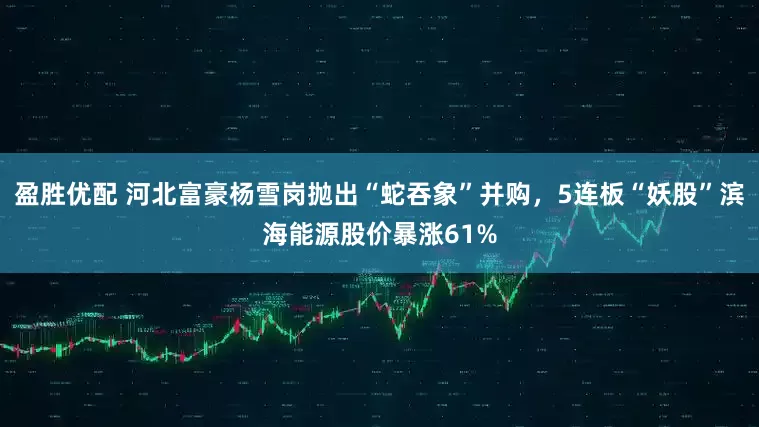 盈胜优配 河北富豪杨雪岗抛出“蛇吞象”并购，5连板“妖股”滨海能源股价暴涨61%