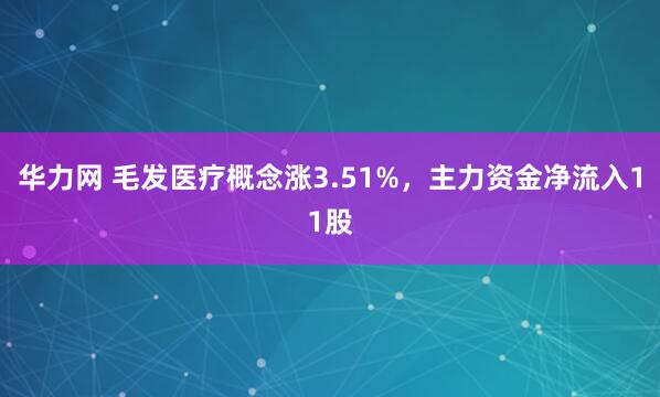 华力网 毛发医疗概念涨3.51%，主力资金净流入11股